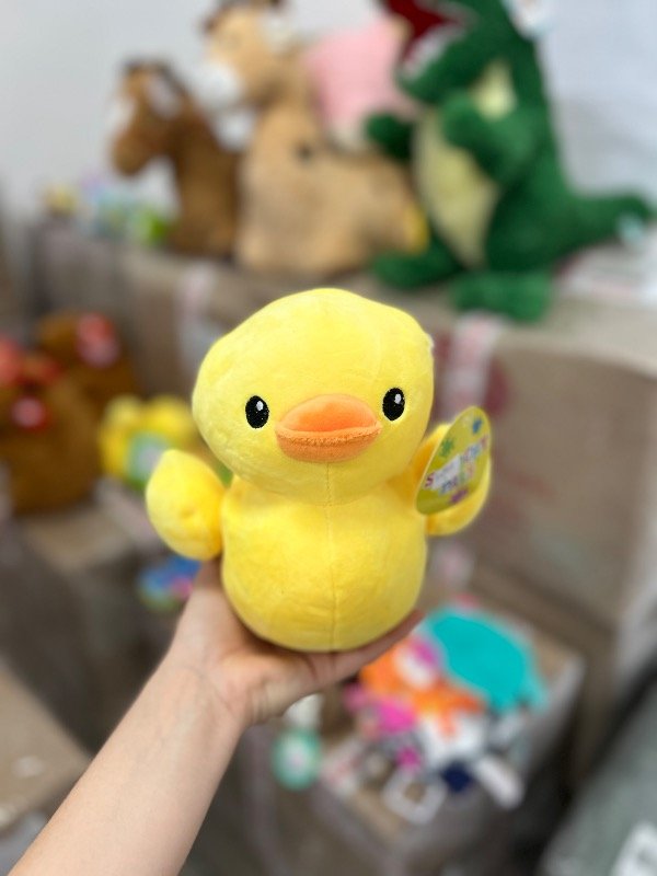 Producto - Pato chico - 1