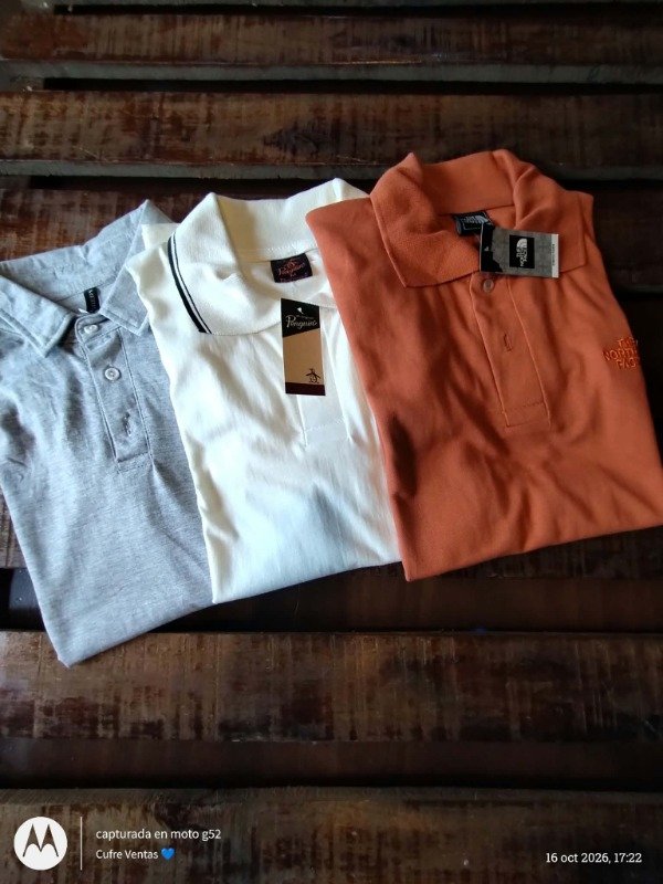 Producto - Remeras Y Chombas  de Algodon - 6
