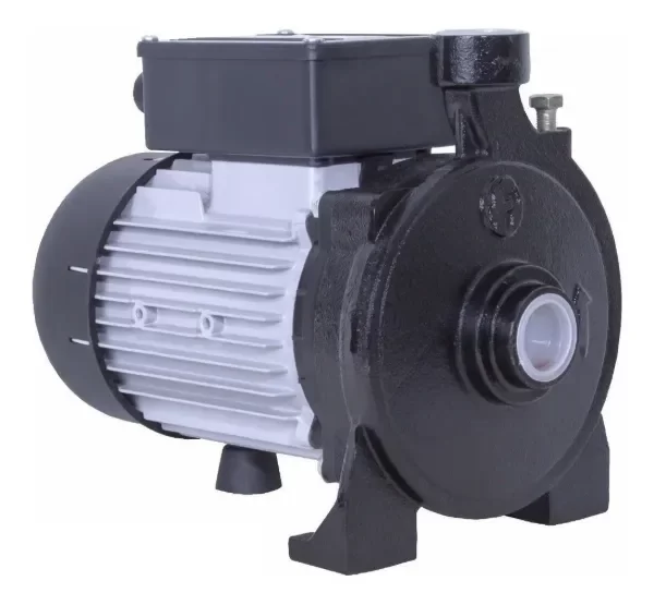 Producto - Bomba Centrífuga Monofásica Fluvial Altura Fc 100 1hp 220v Negro/gris Monofásica