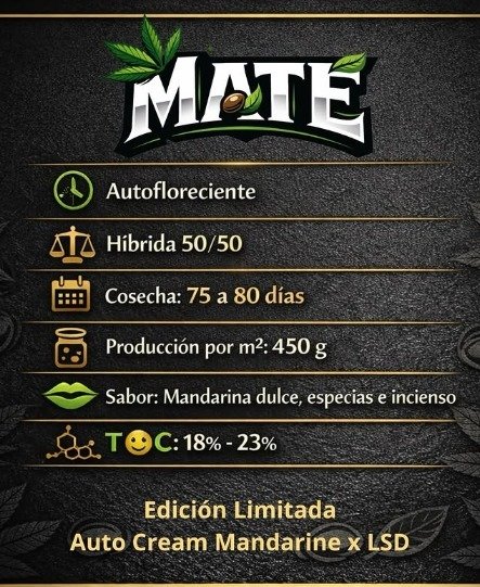 Producto - Mate 3 + 1 Auto - Elefante Blanco Seeds