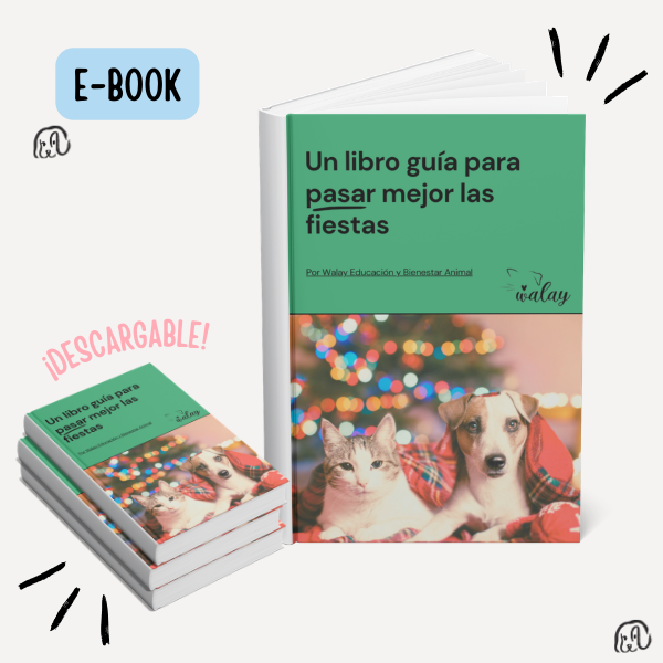Producto - Guía para pasar mejor las fiestas