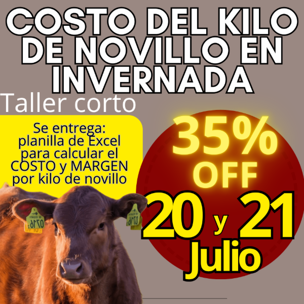 Producto - Taller corto: cálculo del costo del kilo de novillo