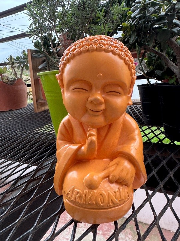 Producto - Buda Bebé Armonía