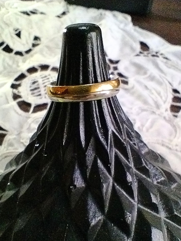 Producto - (176) Anillo Bicolor - AQ/AD - Talle 17