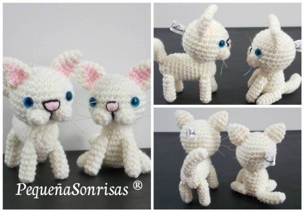 Producto - Gatos - 11