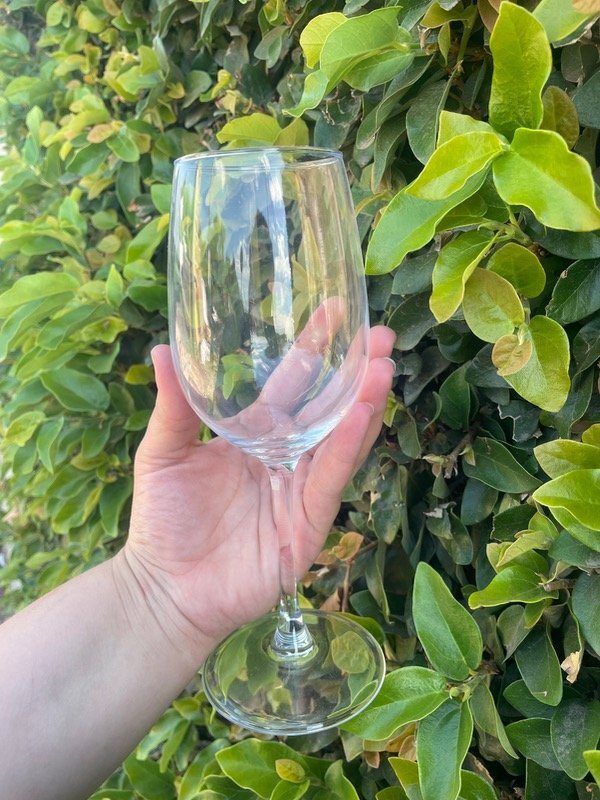 Producto - Copa de agua x6 unidades