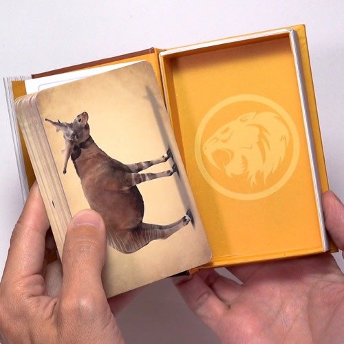 Miniatura de producto - 2