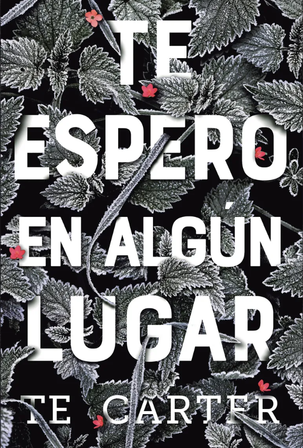 Producto - Te espero en algún lugar - Te Carter