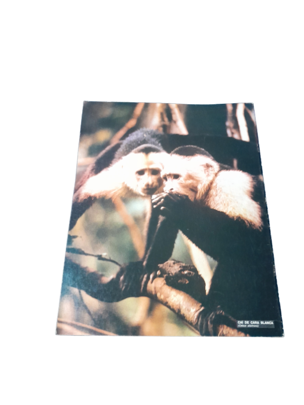 Miniatura de producto - 7