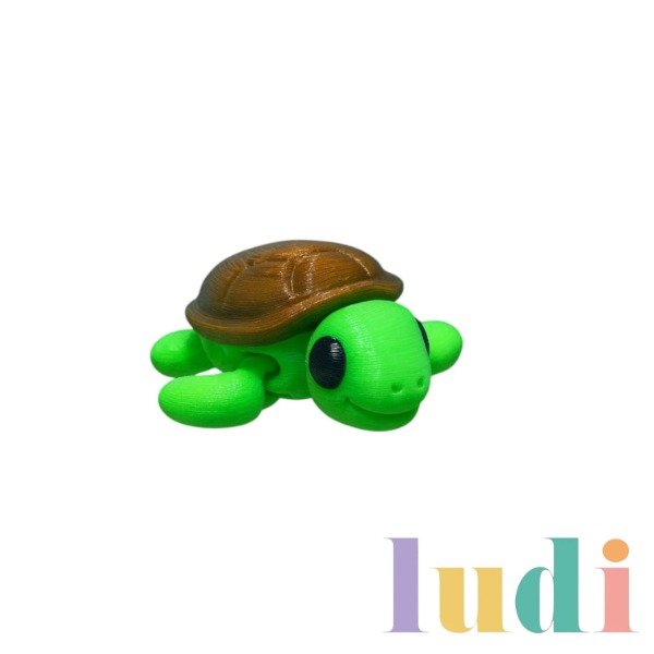 Producto - Tortuga