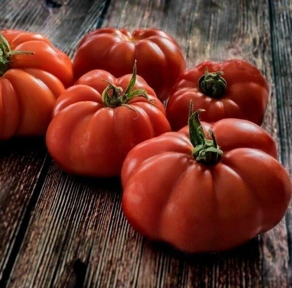 Producto - Semillas De Tomate Marmande Solanum Lycopersicum - 2