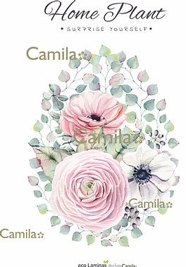 Producto - Eco Lámina HOME PLANT