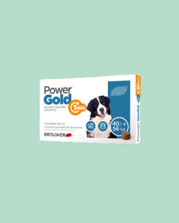 Producto - POWER GOLD 40 A 56KG