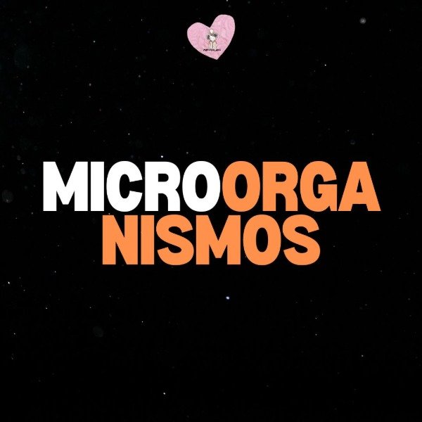 Producto - MICROORGANISMOS