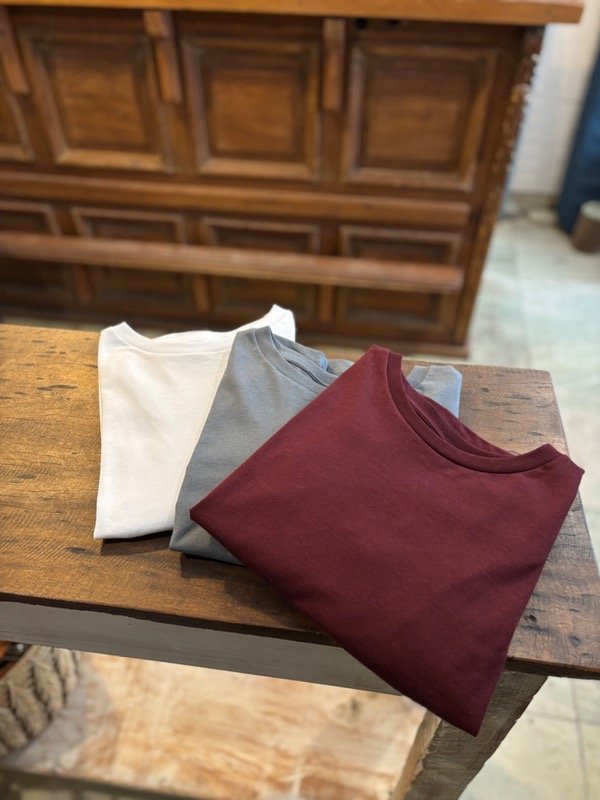 Producto - BÁSICAS MANGAS LARGAS