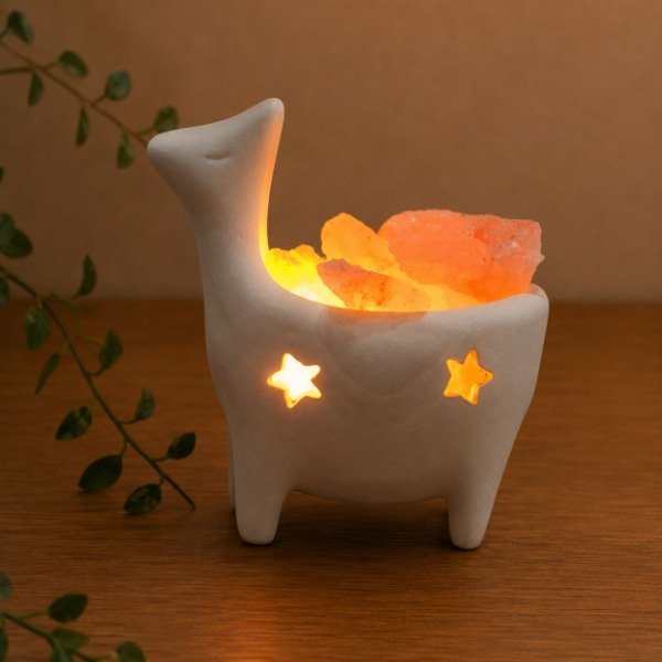 Producto - LAMPARA DE SAL "LA LLAMA QUE LLAMA" - LAMP#113