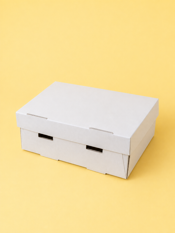 Producto - BOX MULTIUSOS CHICO COD.1635 15X7X12 - 0