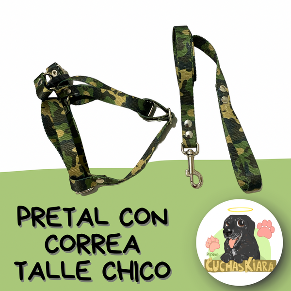 Producto - Pretal y Correa Talle Chico
