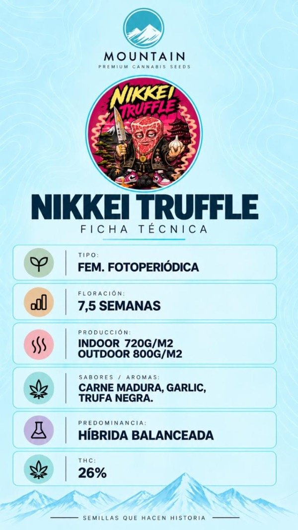 Producto - NIKKEI TRUFFLE (3 unidades) - 1