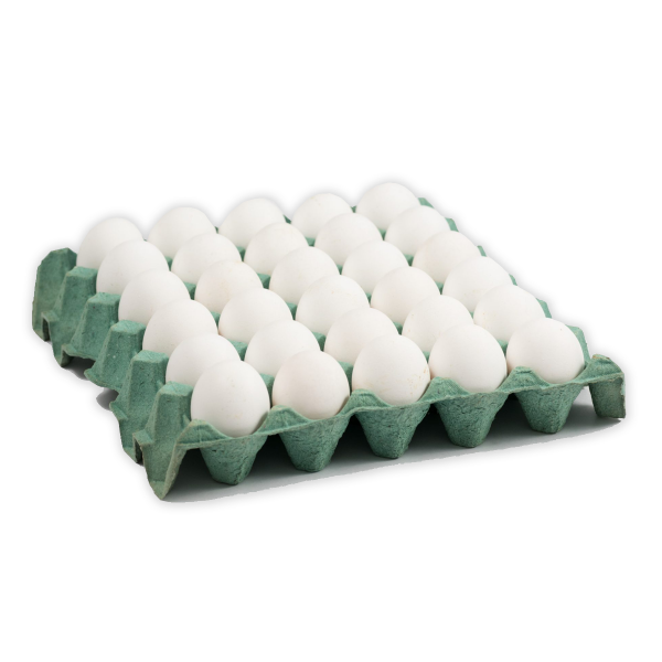 Producto - Maple de Huevos N 1