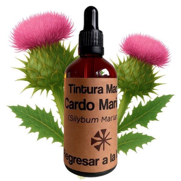 Producto - Tintura Madre de Cardo Mariano 100ml