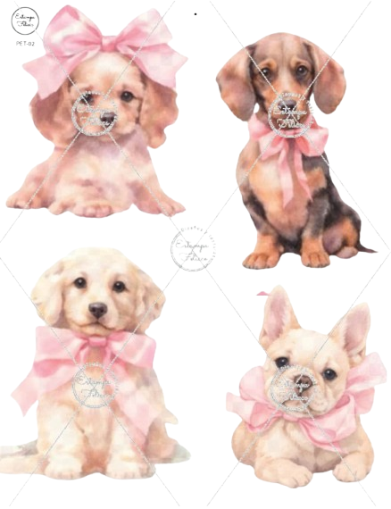 Producto - Transfers PET - 02