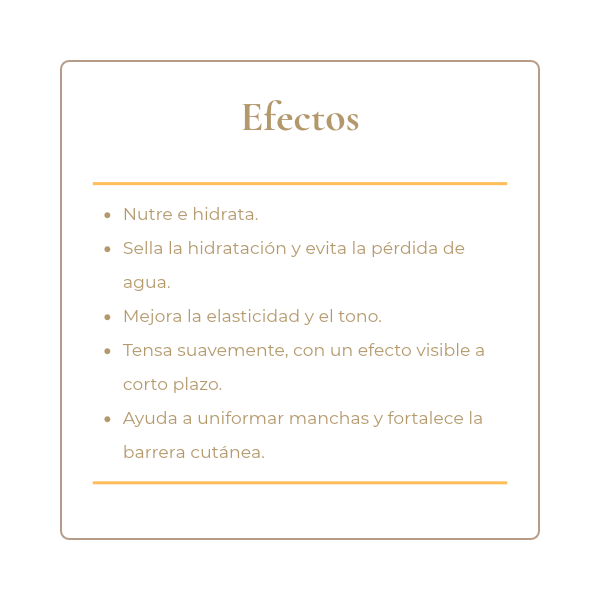Producto - Crema facial nutritiva con DMAE y niacinamida al 5 - 2