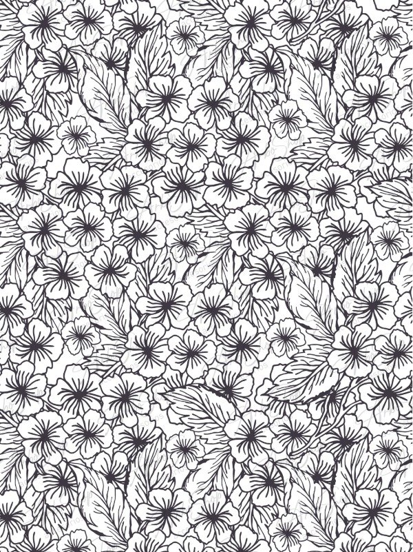 Producto - Black and White 20