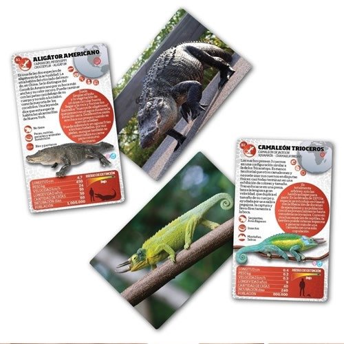 Miniatura de producto - 7