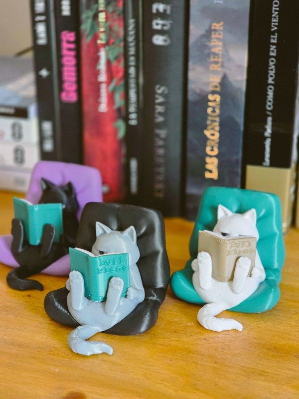 Producto - GATITO LECTOR EVIL PLANS - 10