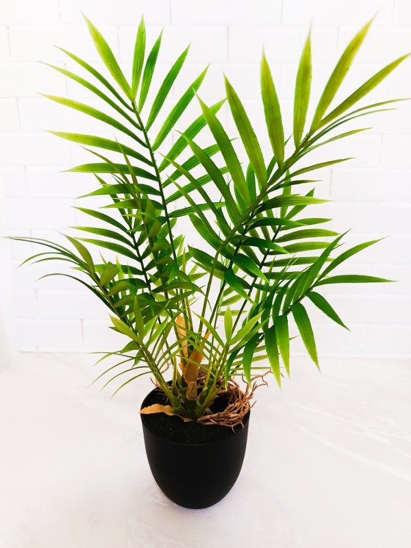 Producto - Palmera chica 37cm