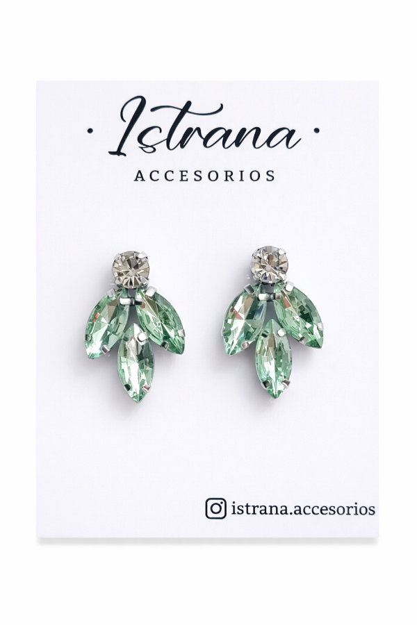 Producto - Aros Selva