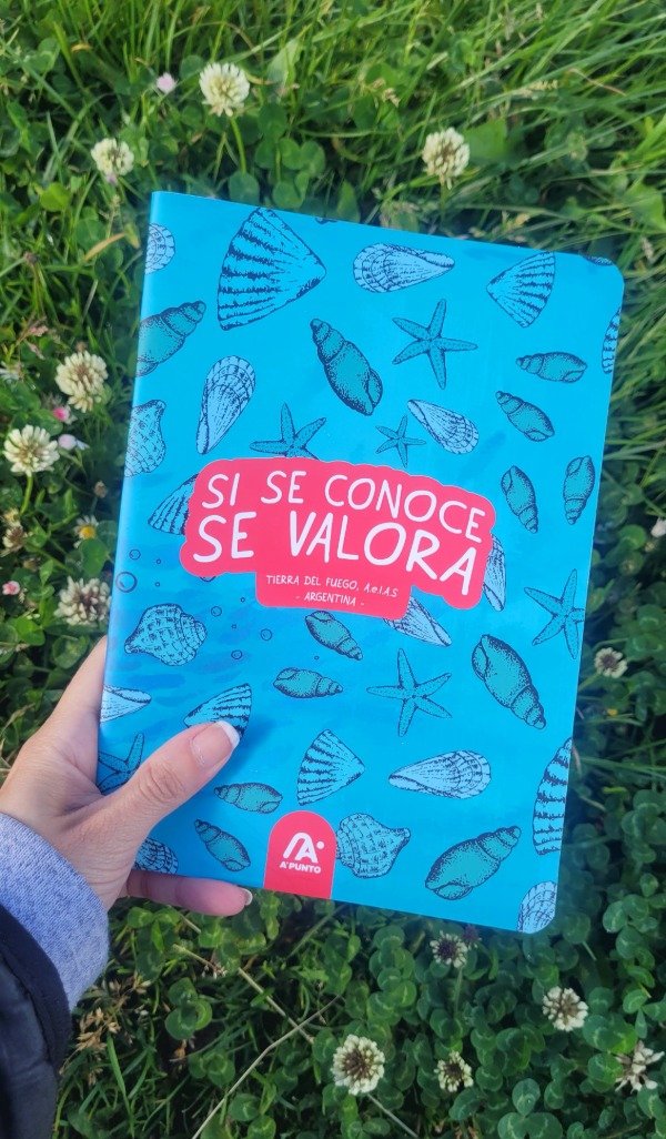 Producto - Cuadernos hojas rayadas