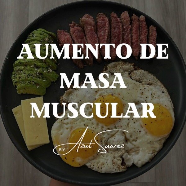 Producto - PLAN DE ALIMENTACION - 1