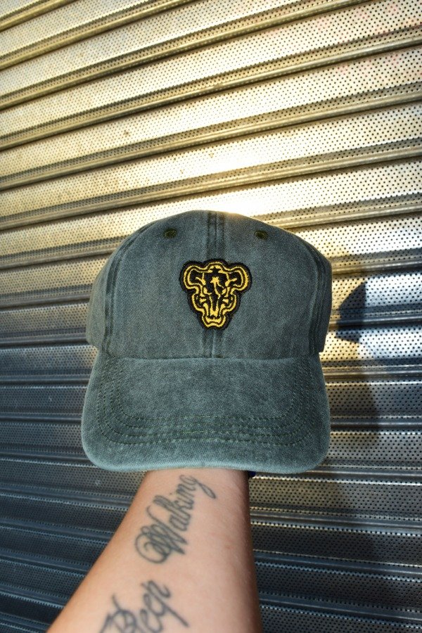 Producto - Gorra Black Clover verde