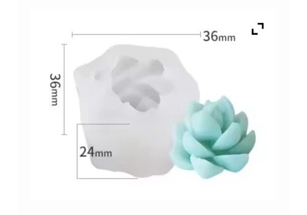 Producto - Molde Suculenta chica