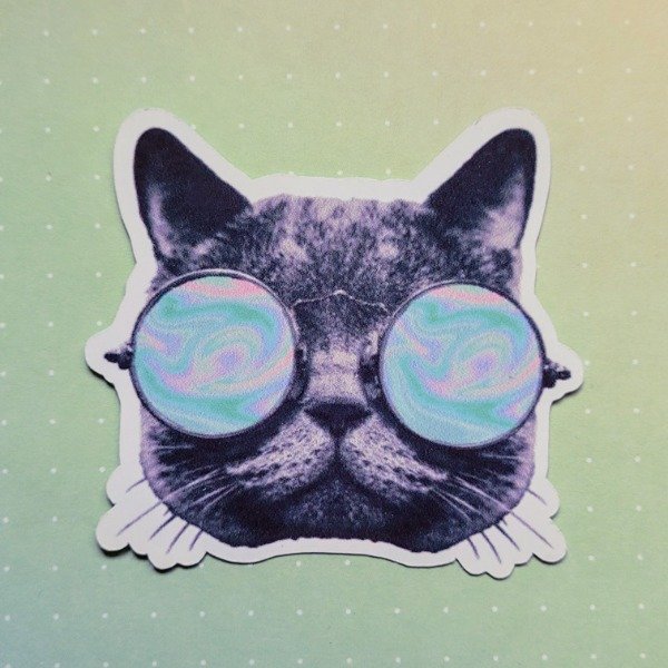 Producto - Gatito anteojos