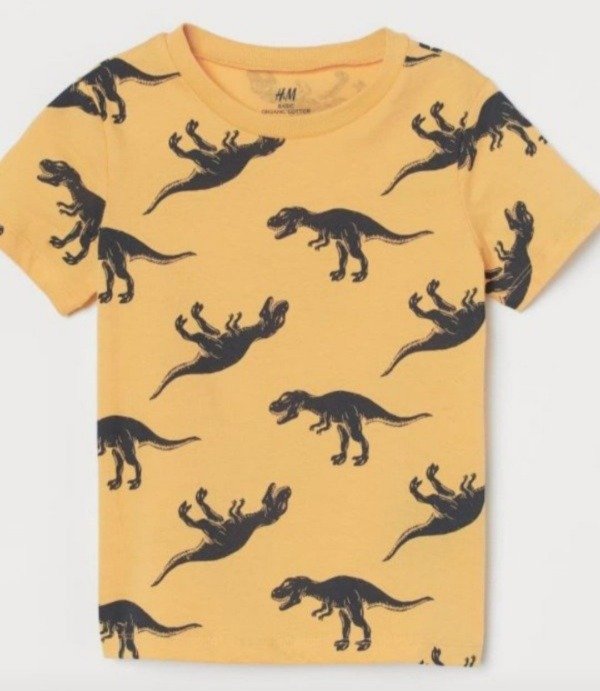 Producto - Remera hym dinos m/corta