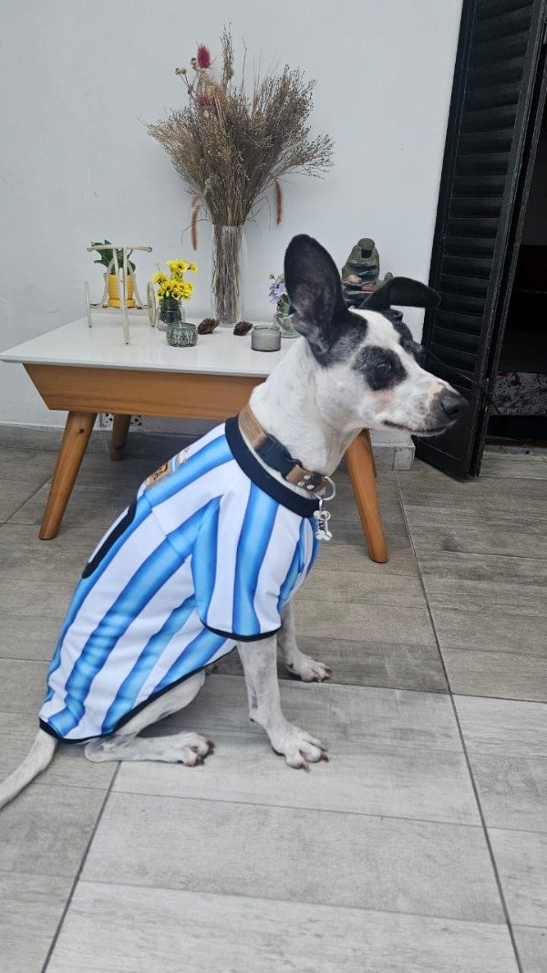 Miniatura de producto - 4