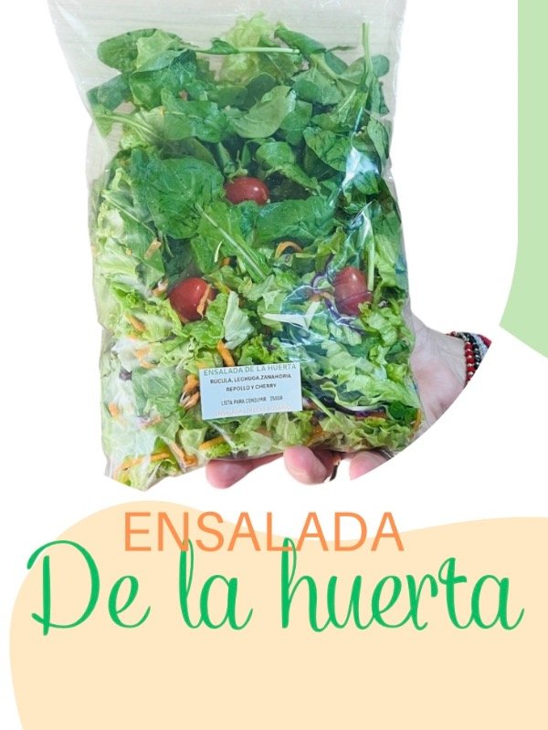 Producto - Bolsa ENSALADA DE LA HUERTA 250gr