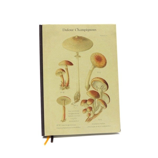 Producto - Dufour Champignon