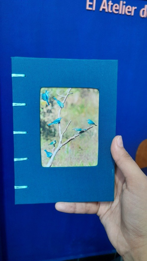 Producto - Agenda Chogüí