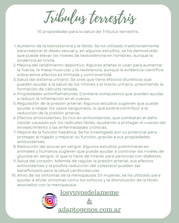 Miniatura de producto - 15