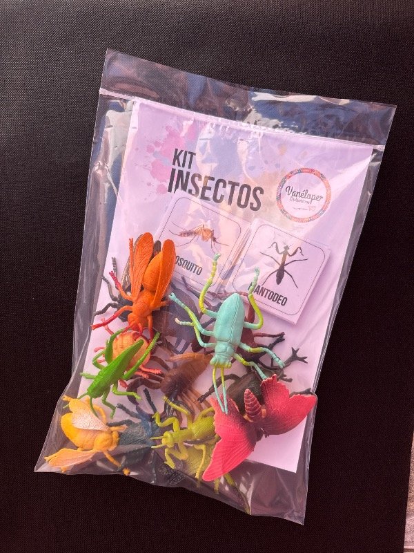 Producto - KIT INSECTOS GRANDES