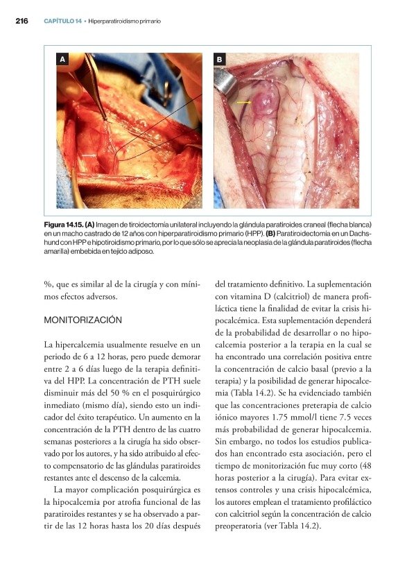 Producto - Teyssandier - Soler Arias: Manual Práctico de Endocrinología Clínica en el Perro - 10