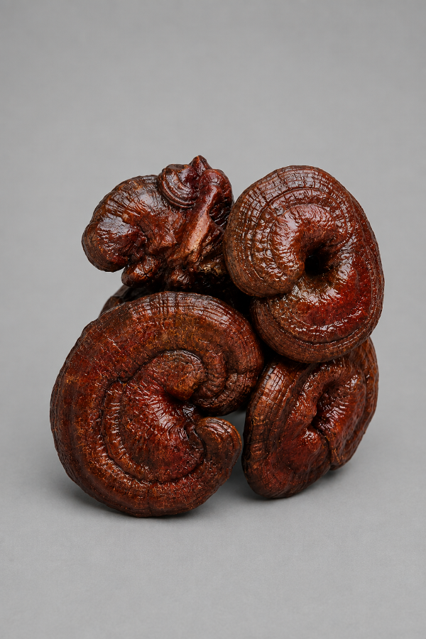 Producto - LING ZHI REISHI EL HONGO DE LA CALMA - 0