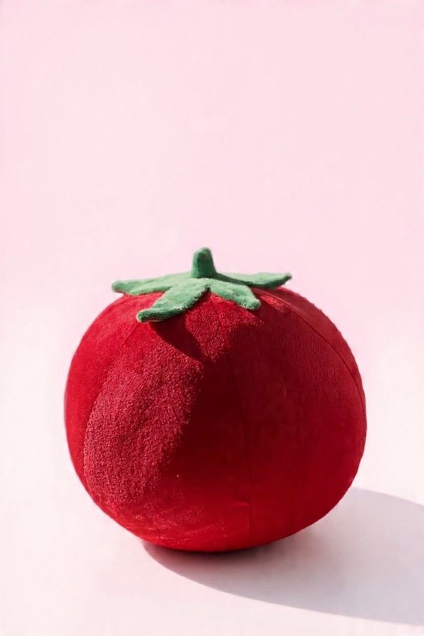 Producto - Almohadón POMODORO
