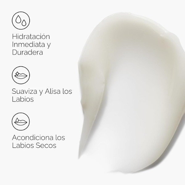 Producto - The Ordinary Squalane + Amino acids lip balm 15ml - 2