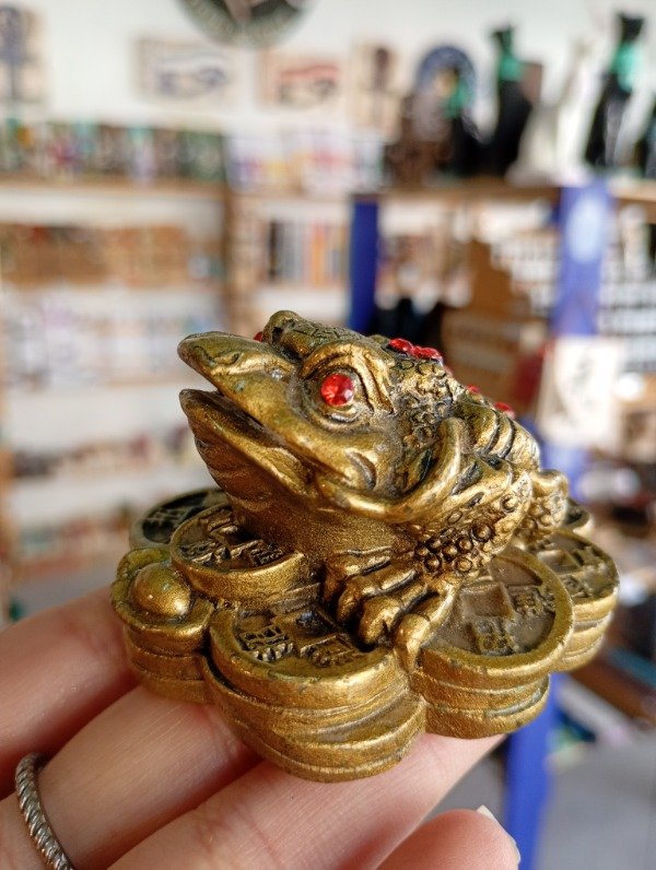 Producto - Sapo Fortuna