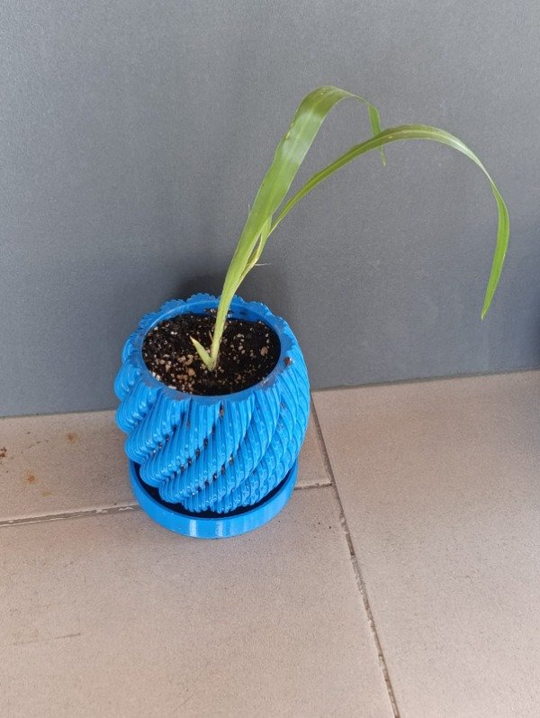 Producto - Orquideas - 4